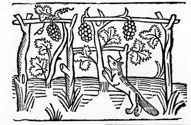 Der Fuchs und die Trauben, Illustration aus Caxtons 